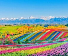企画担当のプロが北海道のご旅行プラン立てます イメージ1