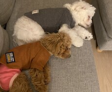 あなたのお話とことん聞きます イメージ1