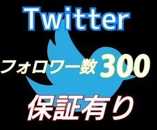 先着10名様ツイッターフォロワー数増やします イメージ1