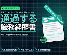 IT人材の職務経歴書を採用目線で作成します イメージ1