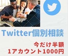 Twitterの運用に関する相談を承ります オープン特化で半額の1000円！ここがSNSビジネスの入口！