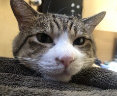 愚痴や話し相手になります イメージ1