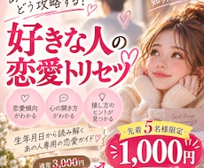 好きな人の恋愛トリセツ＆攻略法をお作りします あの人の恋愛傾向・心の開き方・接し方まで徹底解説♡