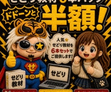 半額！人気☆せどり教材を6本セットでご提供します 初心者向け☆プロ直伝ノウハウ☆せどりの教科書を格安提供中！