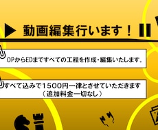 全ての工程の動画編集を行います 動画編集全般(OP、ED含む)制作まで全て行います。