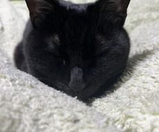 日頃の愚痴を聞きます イメージ1