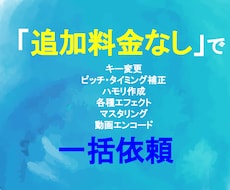 初心者でも安心！追加料金なしで歌ってみた制作します イメージ1