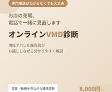 オンライン診断/現役VMDが売場の課題を解決します イメージ1