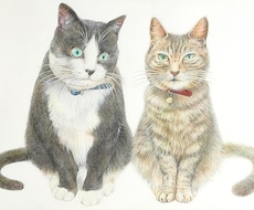 色鉛筆でふんわりモフモフ優しいペット似顔絵描きます 美大卒が手描きで世界にひとつの、ハイクオリティな絵を制作！