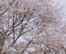 一人で考えてしまう方、溜め込んでしまう方！聞きます イメージ1