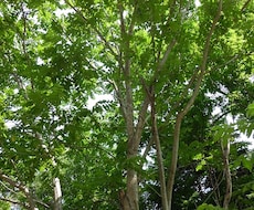 多様なお悩みにご対応。占いで白黒ハッキリさせます