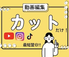 動画投稿者の最高の見方！カット代行します イメージ1