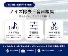 幅広い作品に対応！ノイズ除去・音声編集します イメージ1