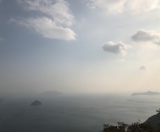 人間関係 夫婦 病気 