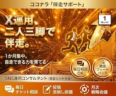 伴走！プロSNSコンサルがX運用を1ヶ月支援します イメージ1