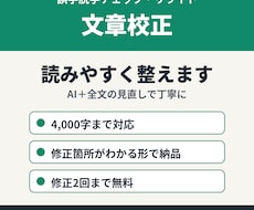 誤字脱字・表記ゆれを直します イメージ1