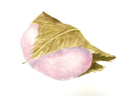 手描き水彩・リアルな食べ物イラストを描きます イメージ1