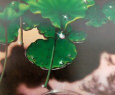 貴方様のお悩みに寄り添います イメージ1