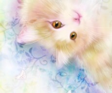 お写真からペットの可愛い似顔絵を描きます