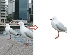 写真の切抜きや背景透過、色味の修正を行います イメージ1