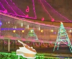 大田原市/西那須野に来る方はお勧めな場所を教えます イメージ1