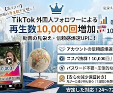 TikTok再生回数増やします イメージ1