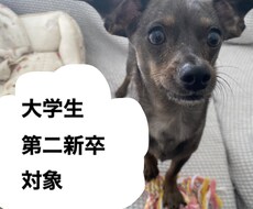 大学生＆第二新卒者の就職活動相談に乗ります イメージ1