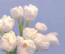 中絶した方や、悩んでいる方の心のケアをします イメージ1