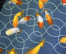 一人で抱え込まないで｜愚痴・不安・モヤモヤ聞きます イメージ1