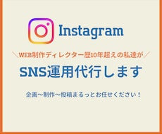 SNS運用代行｜投稿企画・制作・運用まで伴走します イメージ1