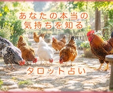 あなたの本当の気持ちを知るタロット占いします タロットを通して、自分の心と向き合ってみませんか？