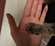 あたなのもやもやを整理するお手伝いをします イメージ1