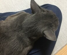 辛い事や愚痴、なんでも聞きます イメージ1