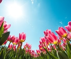 お悩み，誰かに話したい.ちょっと話したい承ります イメージ1