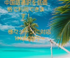 中国語通訳します イメージ1