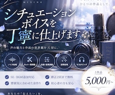 シチュエーションボイスを丁寧に仕上げます イメージ1