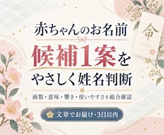 赤ちゃんのお名前候補1案を姓名判断します イメージ1