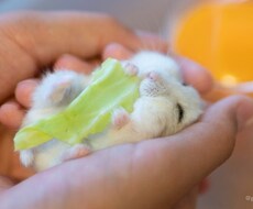ジャンル問いません！どんな相談も受けます イメージ1