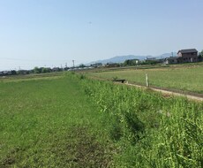 愚痴や悩み解決へお手伝いします