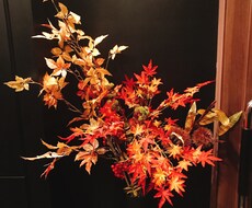 眠っている魅力を最大限に引き出します イメージ1