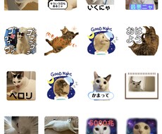 愛猫、愛犬の可愛いをLINEスタンプにしちゃいます イメージ1