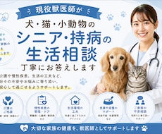 シニア・持病のあるペットの生活相談をお受けします イメージ1