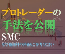 評価が証拠！36000字分のFXプロ手法を教えます 合計142ページにわたる内容があなたをプロトレーダーにします