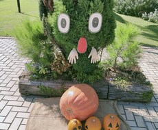 ちょこっとお話ししませんか？何でも聞きます 話をするだけで楽になることがあります！気楽にお電話下さい！