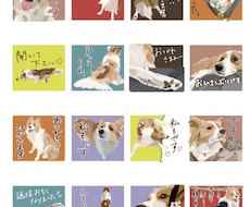 愛犬のほんわかスタンプ描きます シンプルだけど使いやすいスタンプに仕上げます！