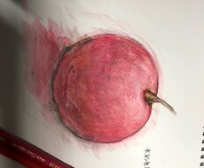 色鉛筆で壁掛け卓上イラスト描きます イメージ1