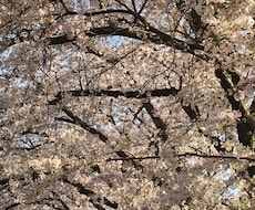 あなたのお話、聞きます イメージ1