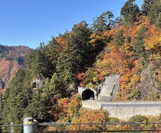 不安・胸のざわつきを整える心のヨガでサポートします イメージ1