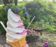 今すぐ現役女子高生が話し相手になります イメージ1