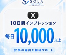 Xのインプを10日間毎日1万以上増やします イメージ1